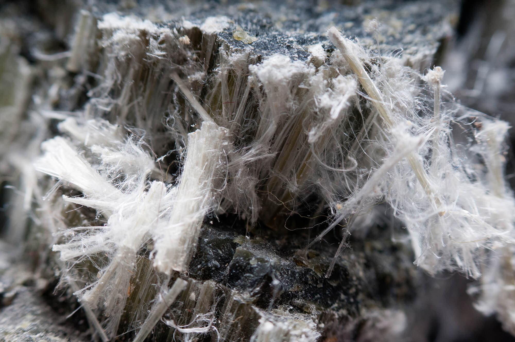 New BSG Seminar – Working with Asbestos