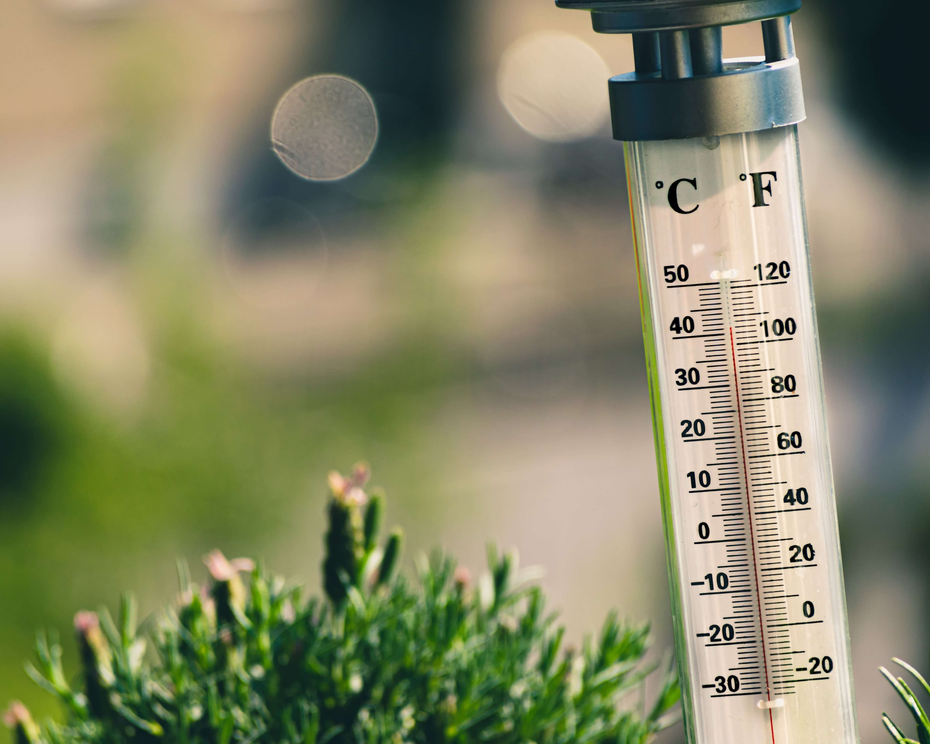 Working safely in hot weather